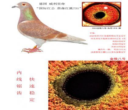5 桰Ht ղɭt731