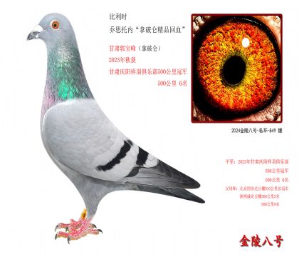 7r(sh) ˼Ѓ(ni)ƁƷѪ