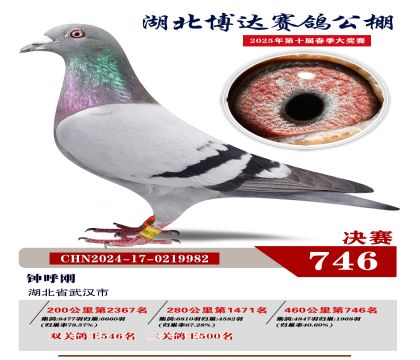 博达春棚决赛746名