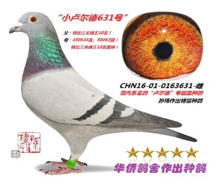4̖--R̖0163631-