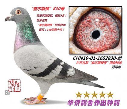 7̖--頖˹D̖Ѫ19-01-1652830-