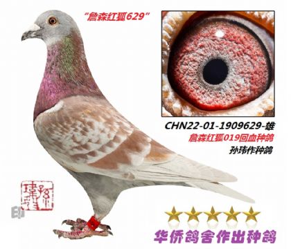 8̖--ղɭt019ϵ22-01-1909629-