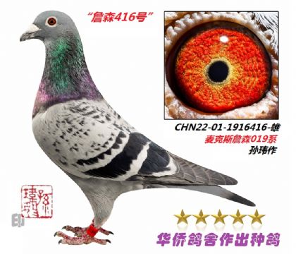 10̖--˹ղɭ019ϵ-1916416-