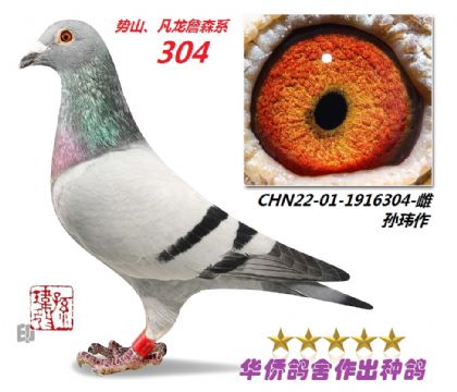 9̖--ղɭϵɽϵ22-01-1916304-