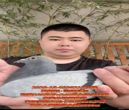 葛斯頓奶酪240直子X(jué)240直女近親作育