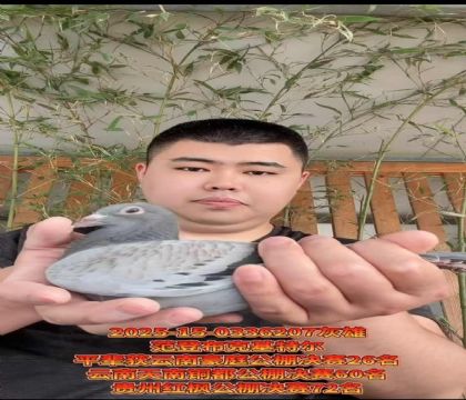 范登布克基特爾 平輩云南豪庭公棚決賽26名