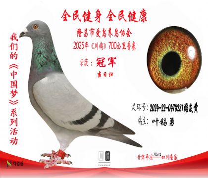 1葉錫勇2024-22-0478281雄灰黃 拷貝