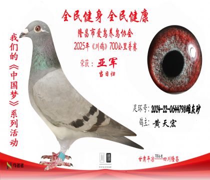2黃天宏2024-22-0644798雌灰砂 拷貝