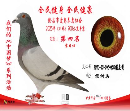 4楊樹(shù)兵2023-22-2464820雄灰黃 拷貝