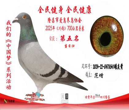 5范增2024-22-0478641雌灰黃 拷貝