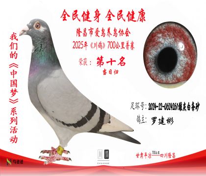 10羅建彬2024-22-0624261雄灰白條砂 拷貝
