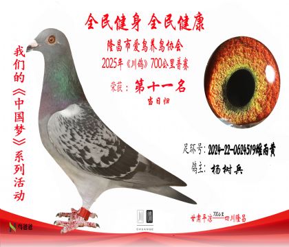11楊樹(shù)兵2024-22-0624519雌雨黃 拷貝