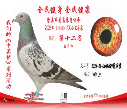 12卿三2024-22-0644649雄雨黃 拷貝