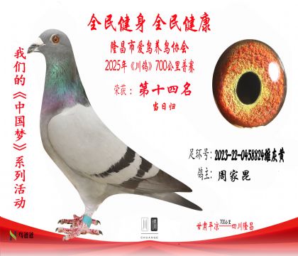 14周家昆2023-22-0458824雄灰黃 拷貝