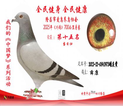 15薛康2023-22-0843975雌灰黃 拷貝