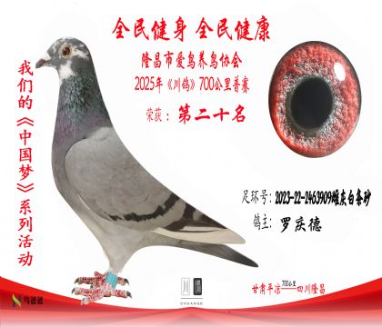 20羅慶德2023-22-2463909雌灰白條砂