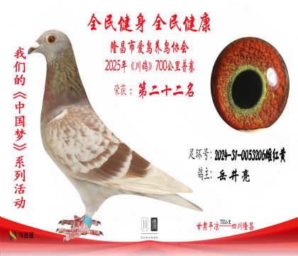 22岳井亮2024-31-0053206雌紅黃