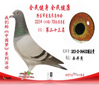23岳井亮2023-22-2464532雄灰黃