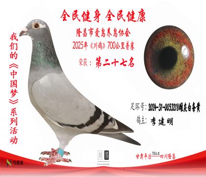 27李建明2024-31-0053218雌灰白條黃