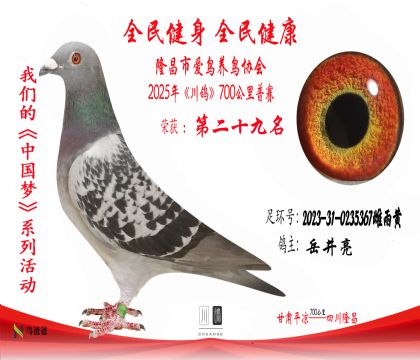29岳井亮2023-31-0235367雌雨黃