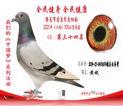 34黃斌2024-22-0476674雄灰白條黃