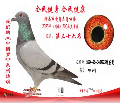 36陳剛2024-22-0451775雌灰黃