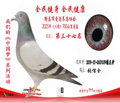 37張信全2024-22-0621659雄灰砂