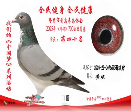 40黃斌2024-22-0476675雄灰砂