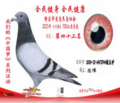 42名陳偉2024-22-0475744雄灰砂