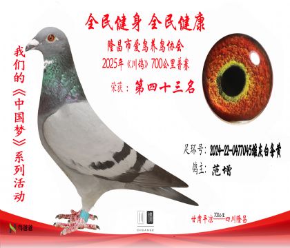 43范增 2024-22-0477045雄灰白條黃
