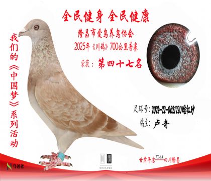 47盧奇2024-22-0621220雌紅砂