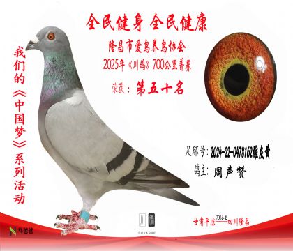 50周聲贊2024-22-0478162雄灰黃