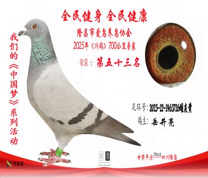 53岳井亮2023-22-2463726雌灰黃