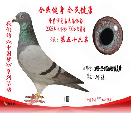 56邱濤2024-22-0626680雄灰砂