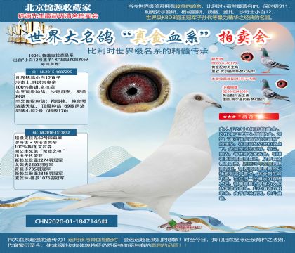 魯?shù)揽死?0-1847146雌