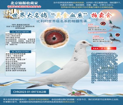 魯?shù)揽死?3-0973362雌