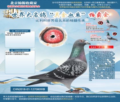 利奧18-1270809雄