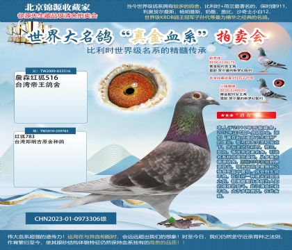 詹森紅狐貍23-0973306雄