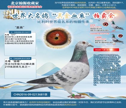 兆尊館蒼白“里奧”