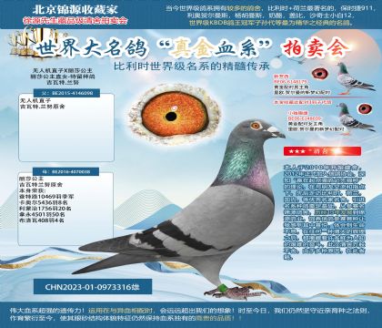 吉瓦特.蘭努23-0973316雄
