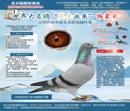 長(zhǎng)江鴿業(yè)-奶酪長(zhǎng)陽(yáng)特比環(huán)
