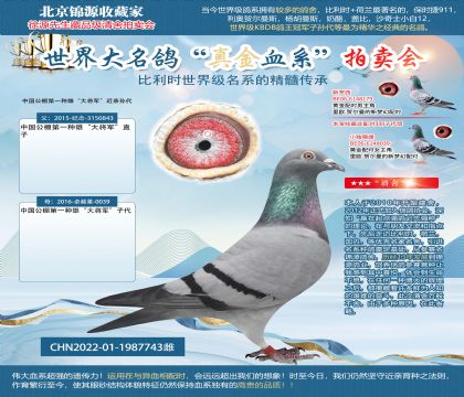卓越星-“大將軍”近親孫代