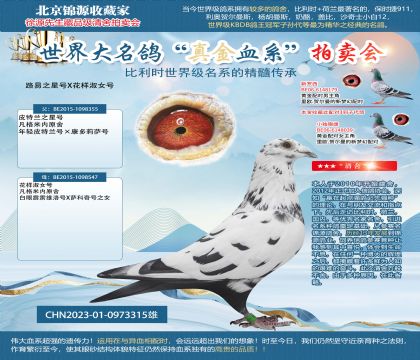 凡格米內(nèi)23-0973315雄