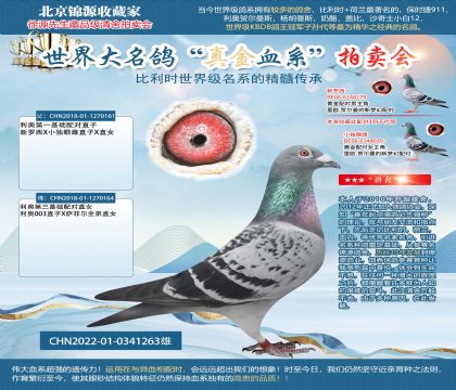 利奧22-0341263雄