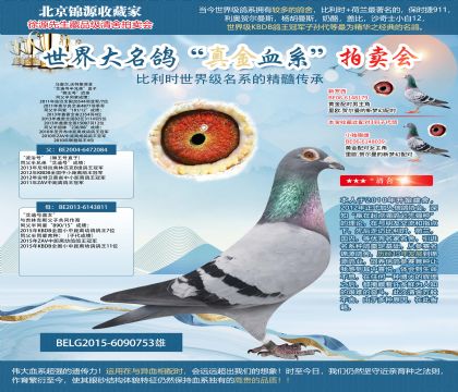 馬塞爾.沃特斯原舍-“艾迪號(hào)半兄弟”X“波治號(hào)”
