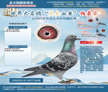 利奧23-0977784雄