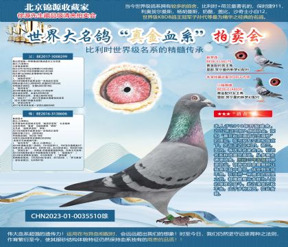 蓋比23-0035510雄