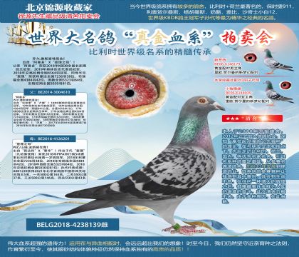 喬爾.佛斯豪特原舍-“阿曼多”X“查理之母”