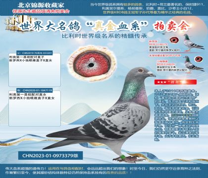 利奧第一基礎(chǔ)配對(duì)雙重回血23-0973379雄