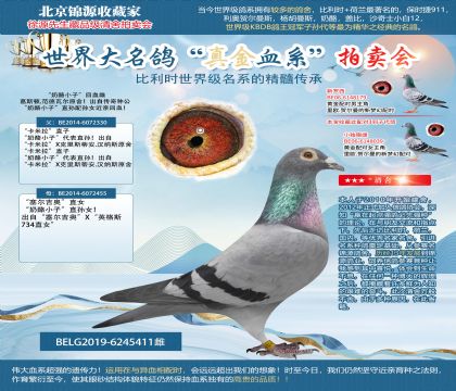 奶酪原舍-“奶酪小子”回血雌